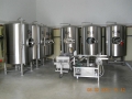Fermentatori - birrifcio cunegonda
